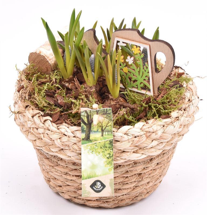 <h4>Jute mand met rand 18cm</h4>