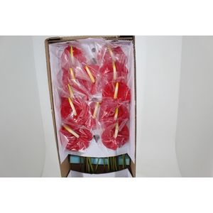 ANT TROPICAL 11/13 040 CM DIAM MIN 11 CM VERMELHO