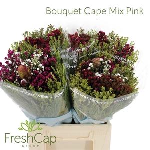 Bouquet Cape Mix Pink