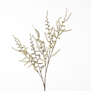 AF Asparagus Spr L102cm Green