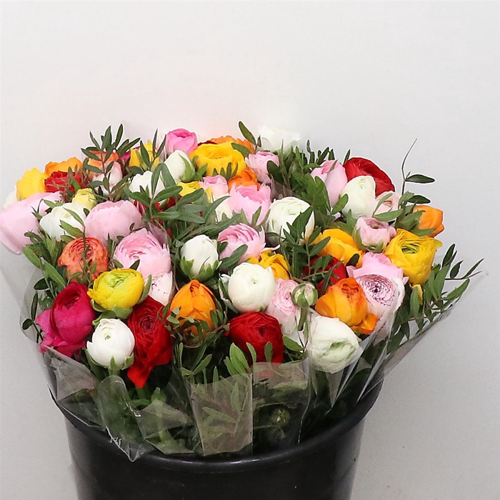 <h4>Ran Bouquet (7 Ran, 2 Pistache)</h4>