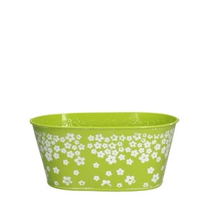 Zinc Spring tray 20.5*12*9cm