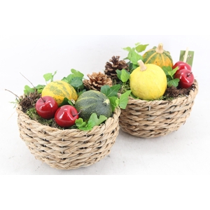 arr4 Sierfruit JS - Bolmandje 338/4