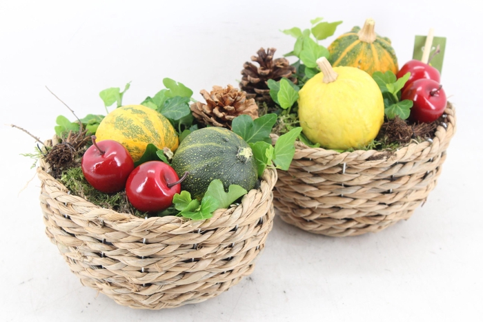 <h4>arr4 Sierfruit JS - Bolmandje 338/4</h4>