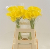 Calla Gold Label