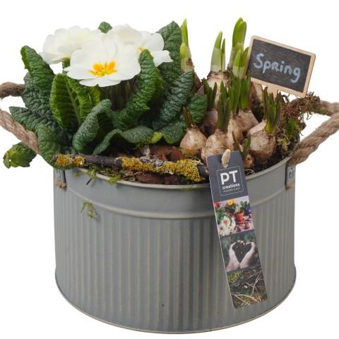 <h4>PTBM3783 Arrangement Flower Bulbs Mix in metalen pot</h4>