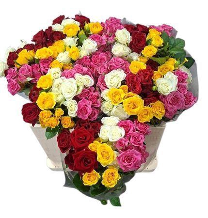 <h4>R Tr Gemengd In Bos</h4>