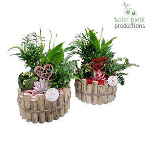 HVSCE002 Milano Large Red/Pink Mix