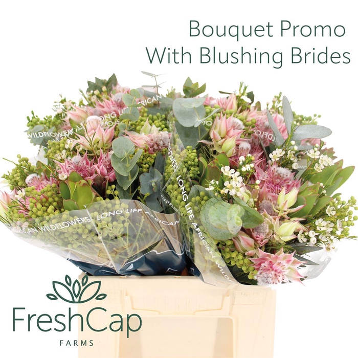 <h4>Bouquet Blushing Brides</h4>