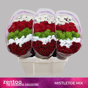 CHR S MIX MISTLETOE