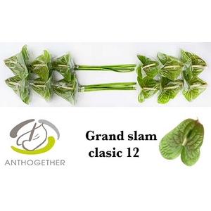 ANTH A GRAND SLAM CLASSIC 12.