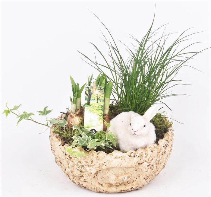 <h4>Cement ei schaal kip decor 18cm</h4>