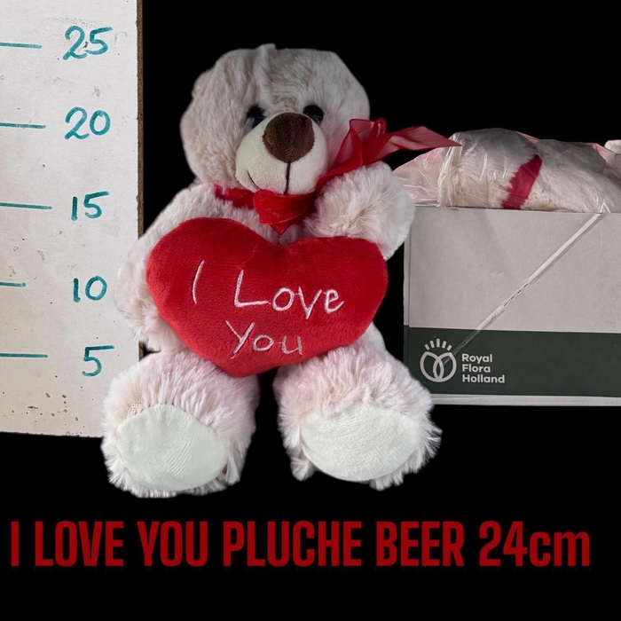 <h4>HUIS EN TUINDECO H%</h4>