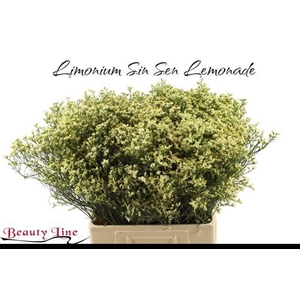 LIM SIN SEN LEMONADE