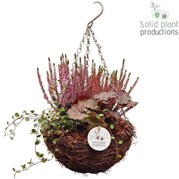 <h4>SHM002 Salim Hanging Basket Medium</h4>