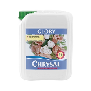 Chrysal - Professional Glory can 5 ltr