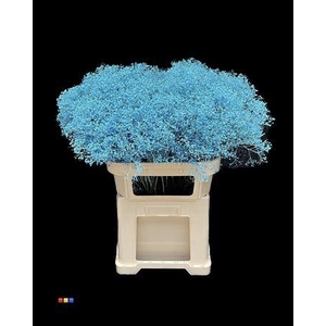 GYPS MILLION STAR LIGHT BLUE