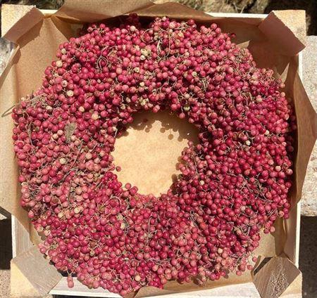 <h4>Wr Schinus 30cm X9</h4>