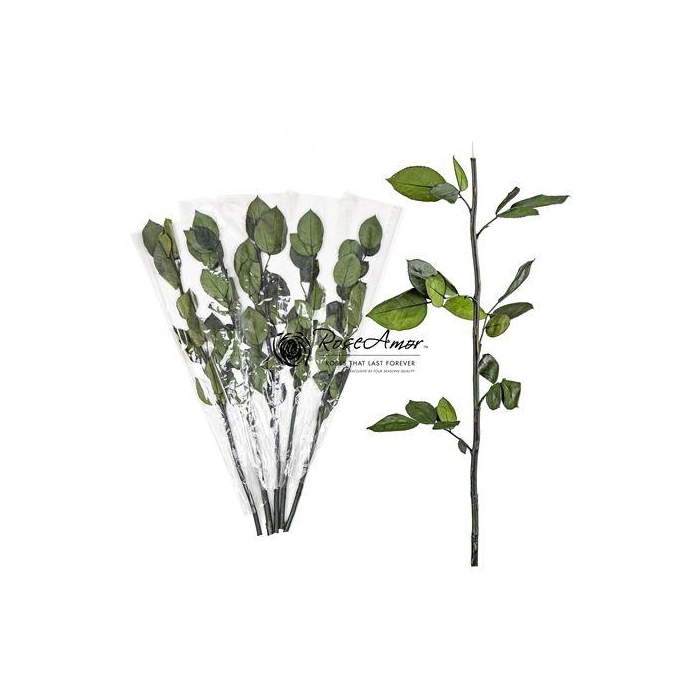 <h4>50cm Stem Without Head</h4>