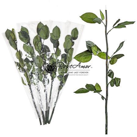 <h4>50cm Stem Without Head</h4>