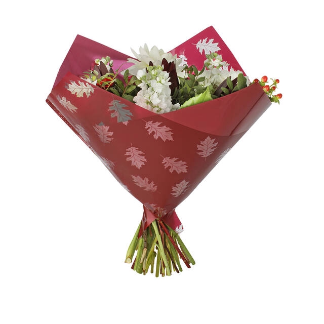 <h4>Hoes 35x35cm Oblique MOPP40 Clear Leaves bordeaux 250/ds</h4>