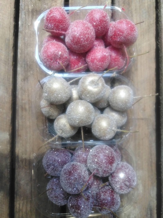 Z PRESERVED ROSA MINI XS RED 02