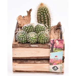 Hout vierk. met handvat 12,5x12,5cm