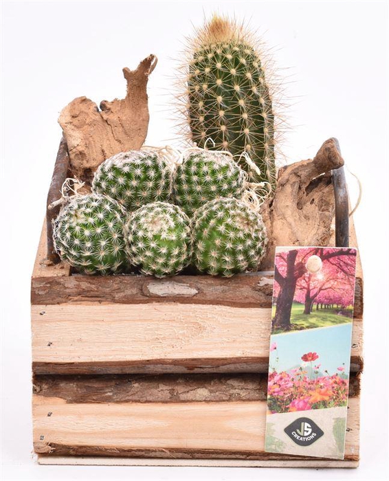 <h4>Hout vierk. met handvat 12,5x12,5cm</h4>