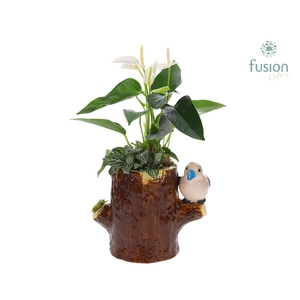 Keramiek boomstam planter met Aragement