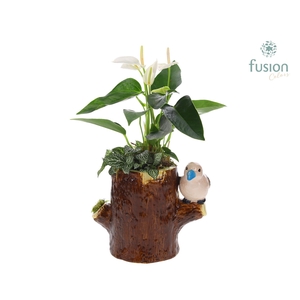 Keramiek boomstam planter met Aragement