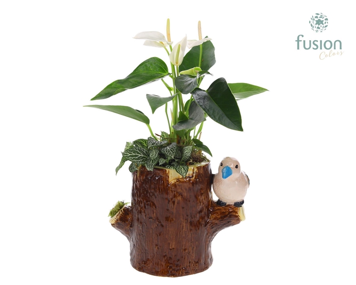 <h4>Keramiek boomstam planter met Aragement</h4>