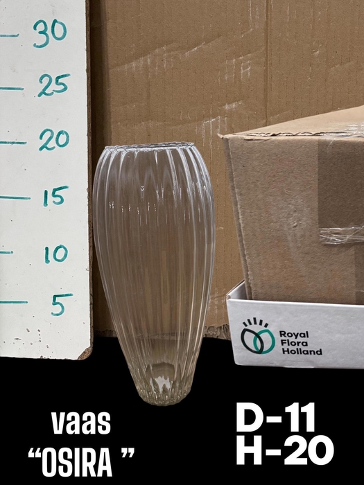 <h4>GLAZEN VAAS H%</h4>