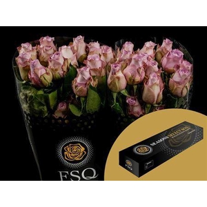 R Gr Mignon Box