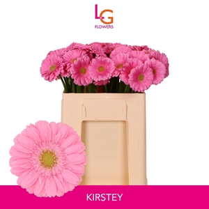 GERMINI KIRSTEY