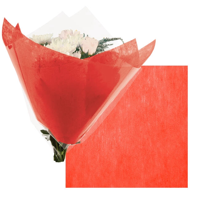 <h4>Housses 52x35x10cm OPP40 Kraftline rose</h4>