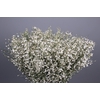 Genista Heidebrem White