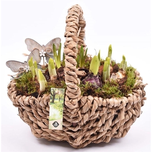 Touw hengselmand ovaal 27x22 cm