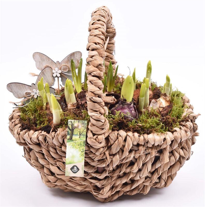 <h4>Touw hengselmand ovaal 27x22 cm</h4>