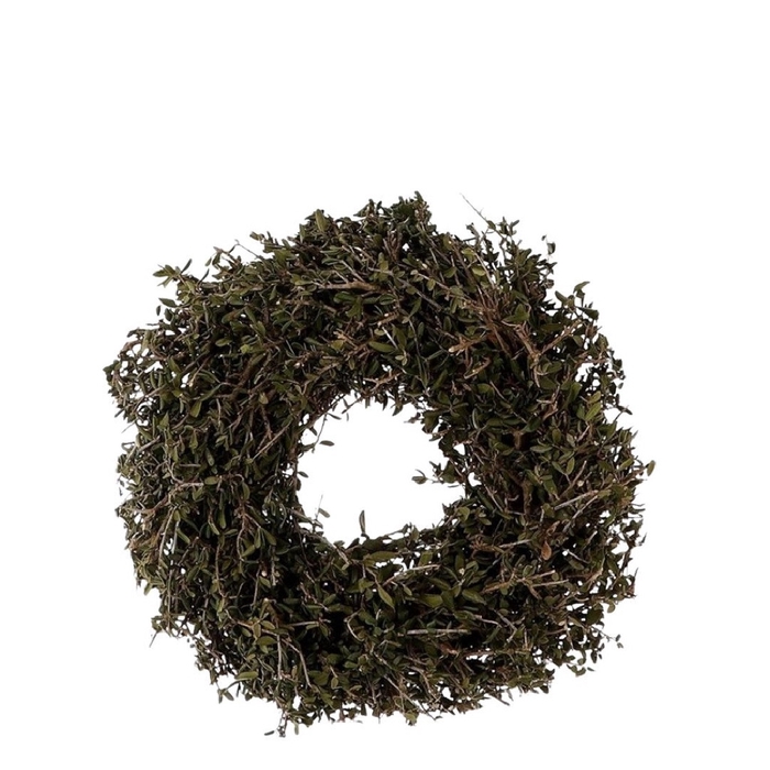 <h4>Wreath d30cm Bonsai Funny</h4>