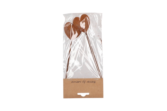 <h4>Pick Rusty Heart Metal 5x17cm P/4</h4>