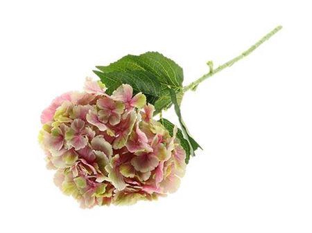 <h4>Stem Hydrangea</h4>
