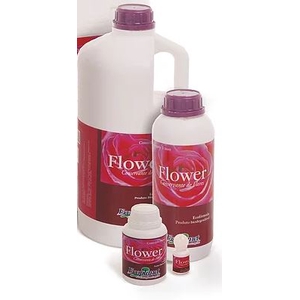 CONSERVANTE FLOWER 5 LITROS