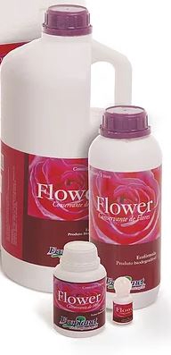 <h4>CONSERVANTE FLOWER 5 LITROS</h4>