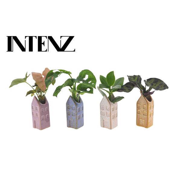 <h4>Mix in Huisjes - levertijd: 24 uur</h4>