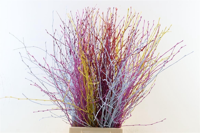 <h4>Berk 70cm Mix Pbs</h4>