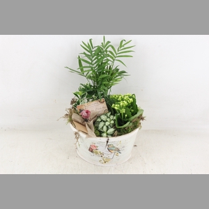 arr2 TD - MDF schaal rond - roze/wit