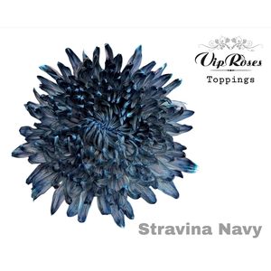 Chr G Stravina Navy