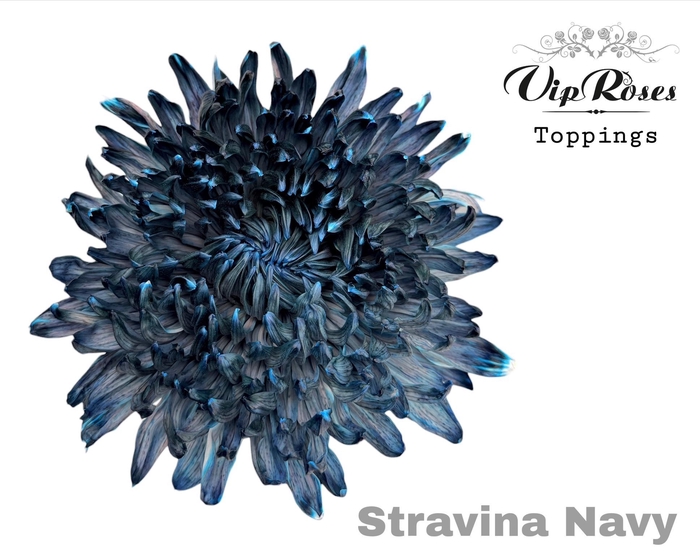 <h4>CHR G STRAVINA NAVY</h4>