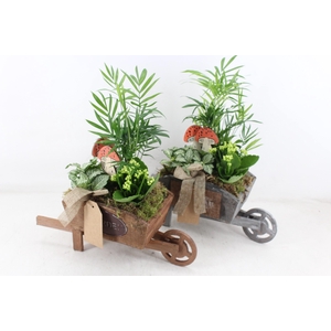 arr2 TD - Hout kruiwagen - wit
