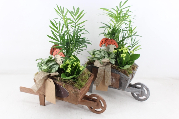 <h4>arr2 TD - Hout kruiwagen - wit</h4>
